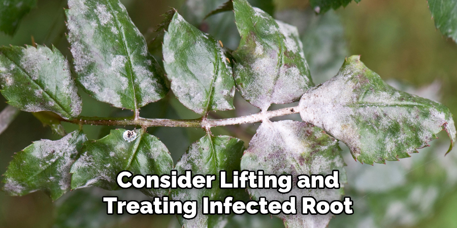 Consider Lifting and Treating Infected Root