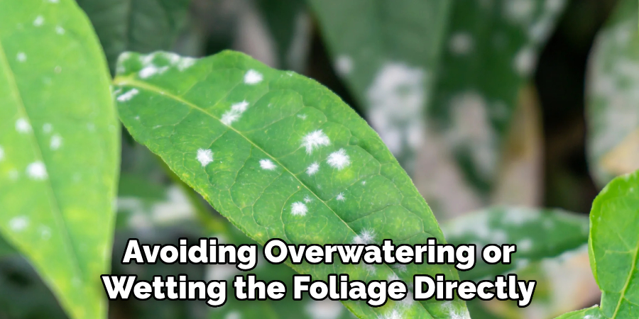 Avoiding Overwatering or Wetting the Foliage Directly