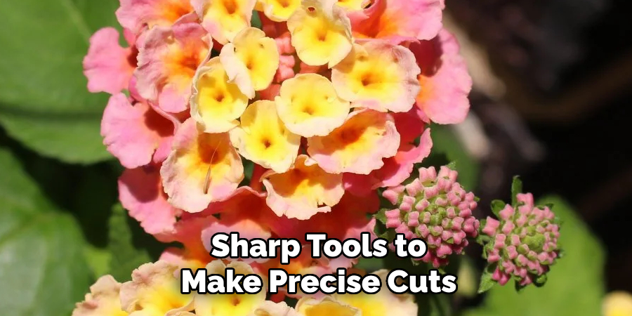 Sharp Tools to Make Precise Cuts