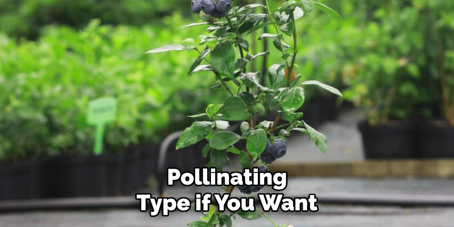 Pollinating Type if You Want