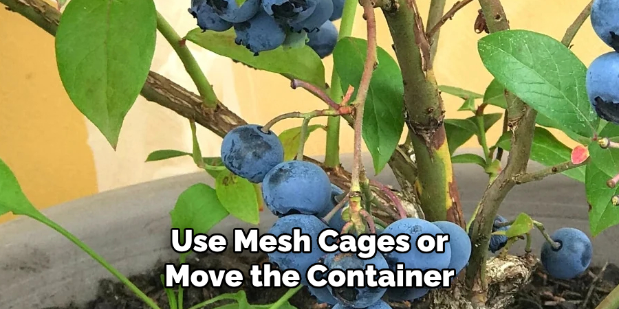 Use Mesh Cages or Move the Container