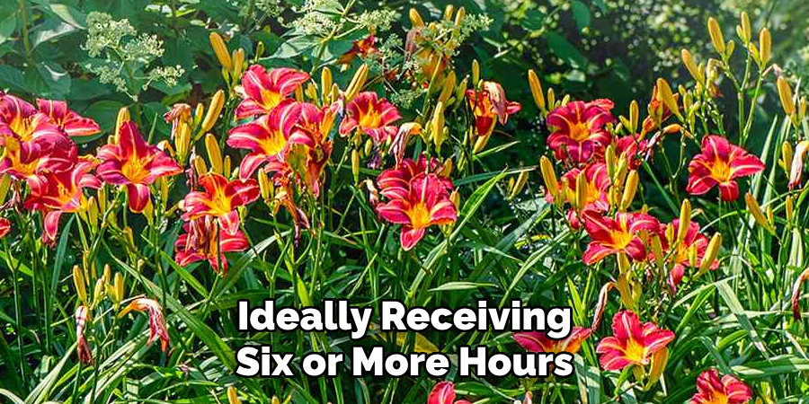 Ideally Receiving Six or More Hours