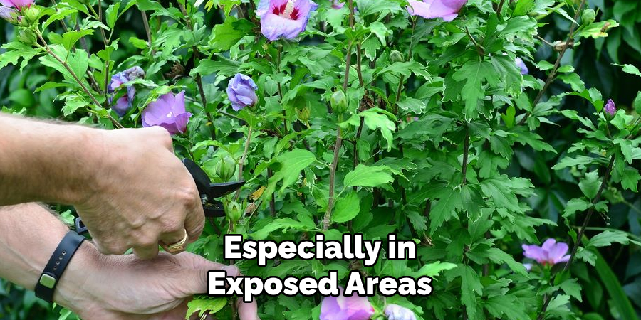 Especially in Exposed Areas