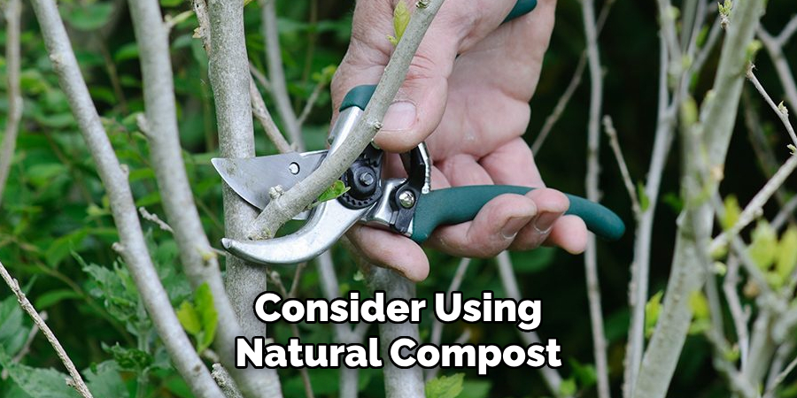 Consider Using Natural Compost