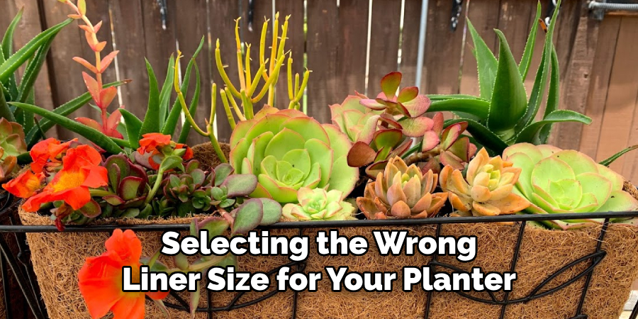 Selecting the Wrong Liner Size for Your Planter