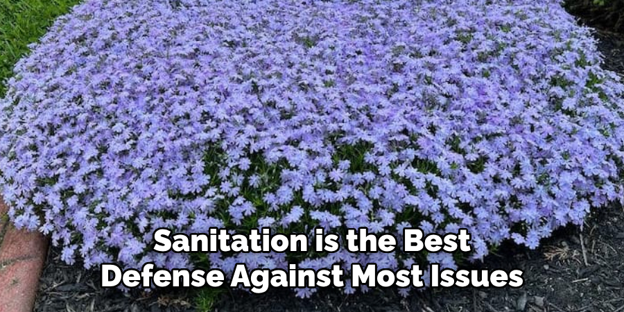 Sanitation is the Best
Defense Against Most Issues