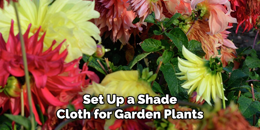 Set Up a Shade Cloth for Garden Plants