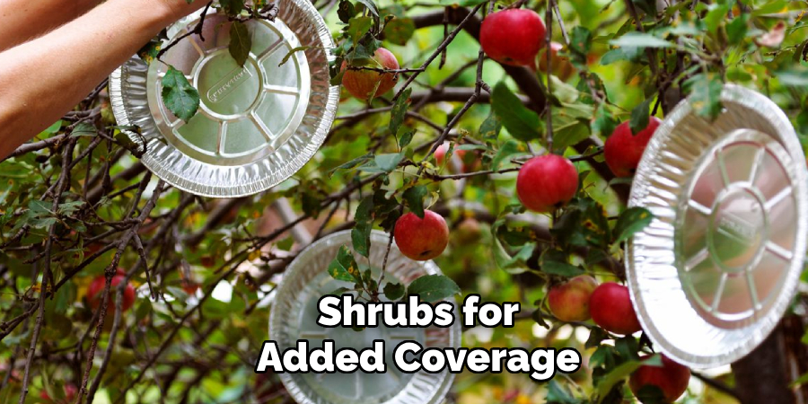 Shrubs for
Added Coverage