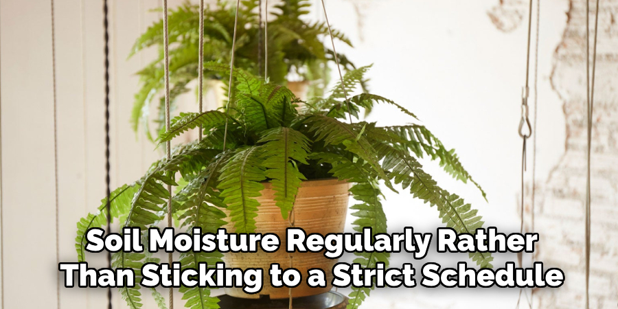 Soil Moisture Regularly Rather
Than Sticking to a Strict Schedule