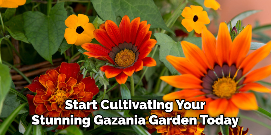 Start Cultivating Your
Stunning Gazania Garden Today