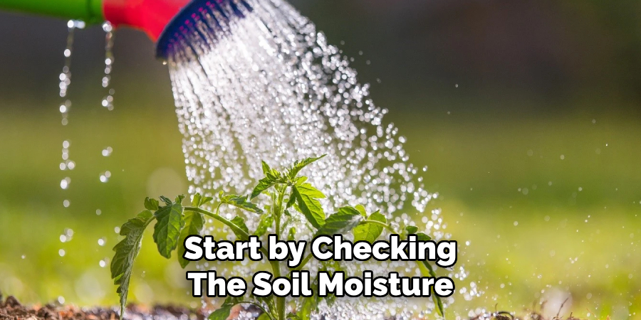 Start by Checking
The Soil Moisture