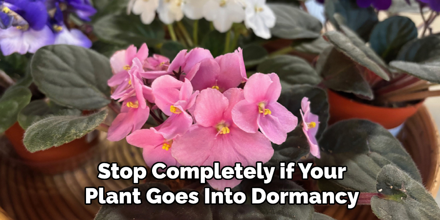 Stop Completely if Your
Plant Goes Into Dormancy