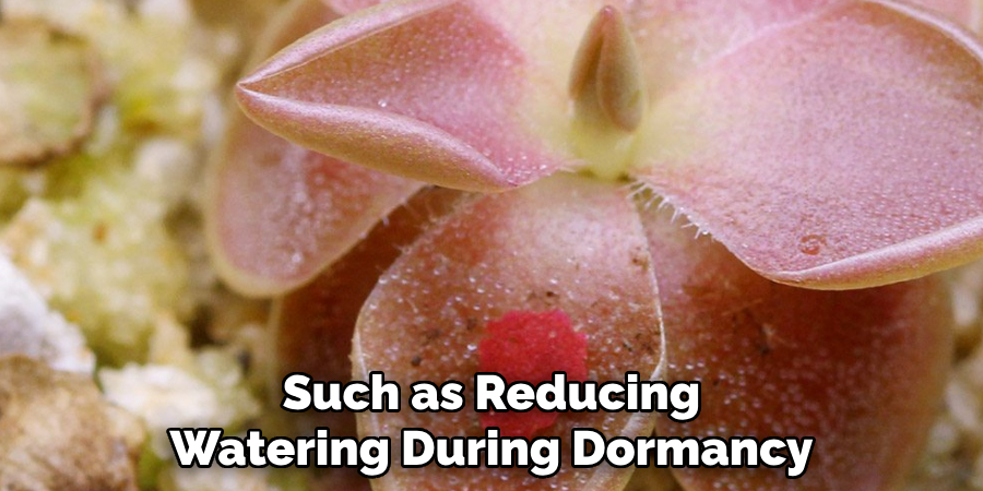 Such as Reducing
Watering During Dormancy