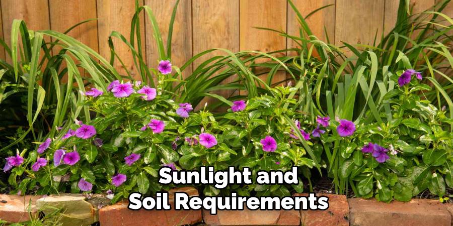 Sunlight and Soil Requirements