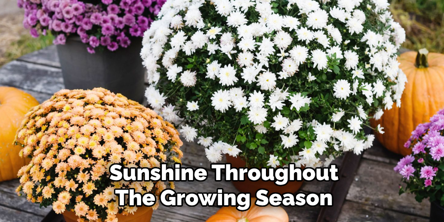Sunshine Throughout
The Growing Season