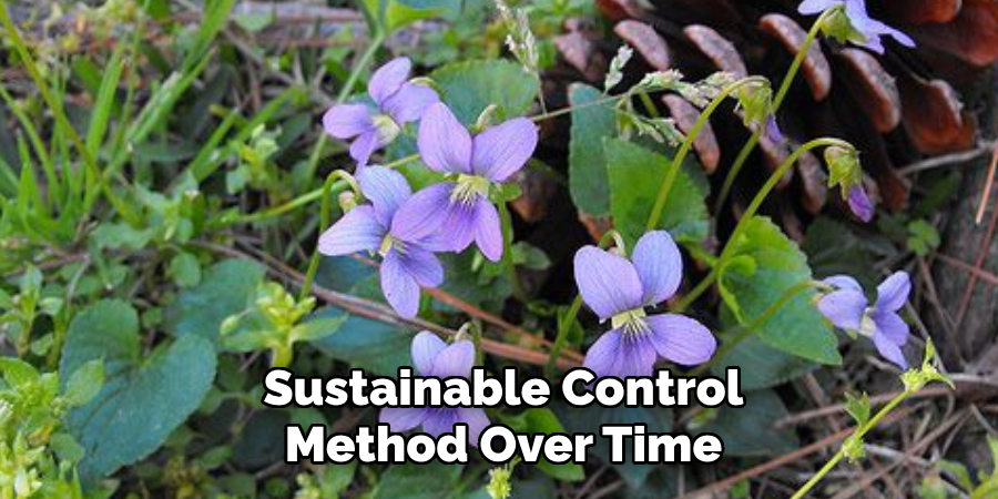 Sustainable Control
Method Over Time