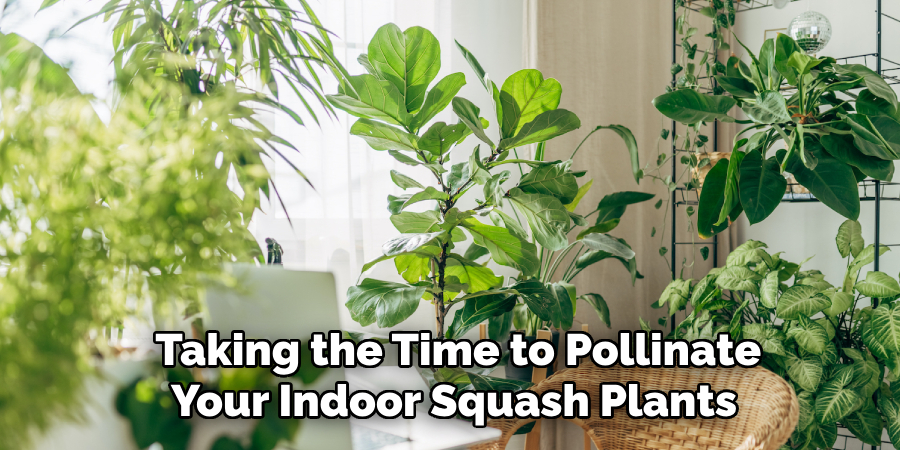 Taking the Time to Pollinate
Your Indoor Squash Plants