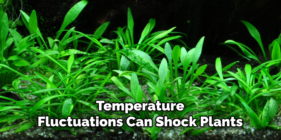 Temperature
Fluctuations Can Shock Plants