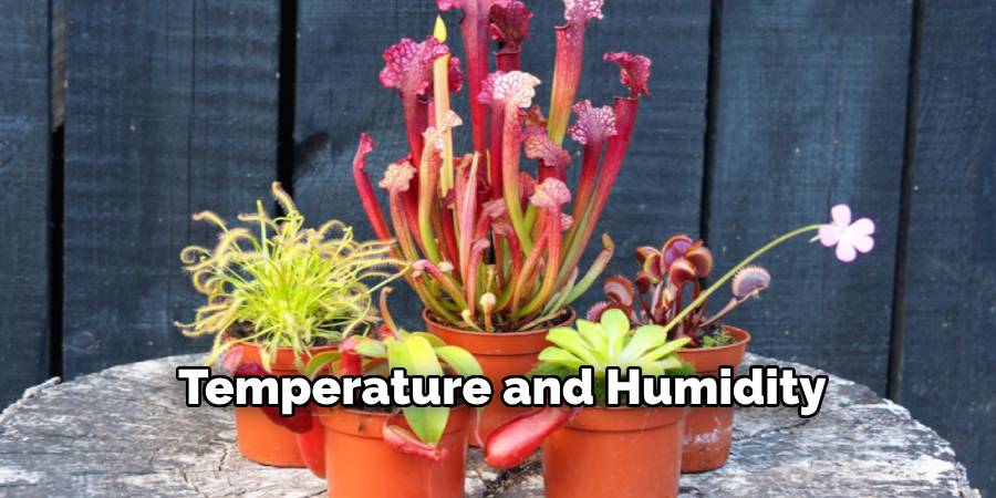 Temperature and Humidity