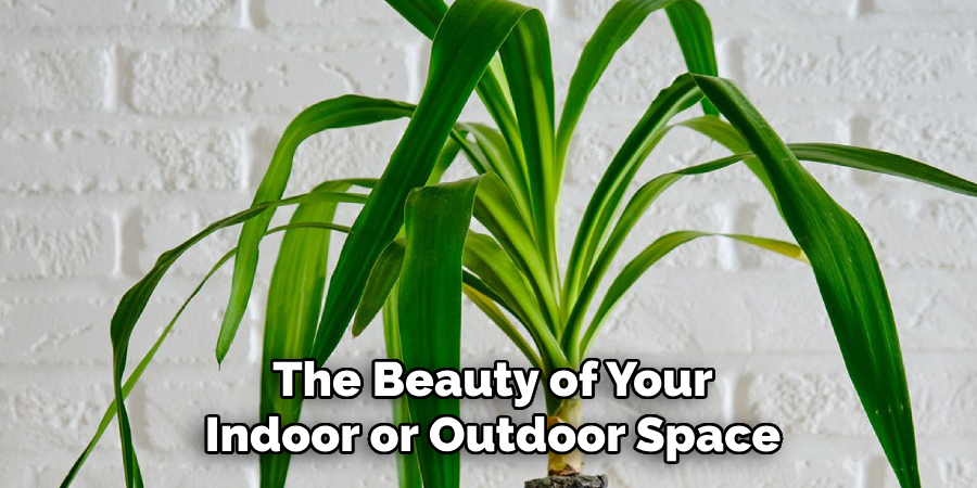 The Beauty of Your
Indoor or Outdoor Space