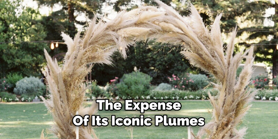 The Expense
Of Its Iconic Plumes