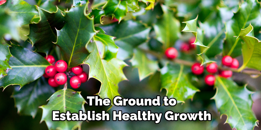 The Ground to
Establish Healthy Growth