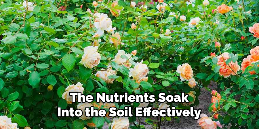 The Nutrients Soak
Into the Soil Effectively