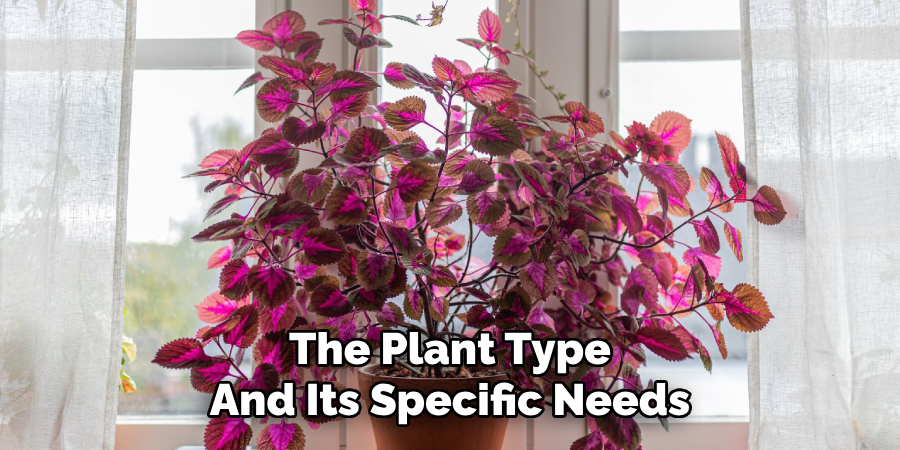 The Plant Type
And Its Specific Needs