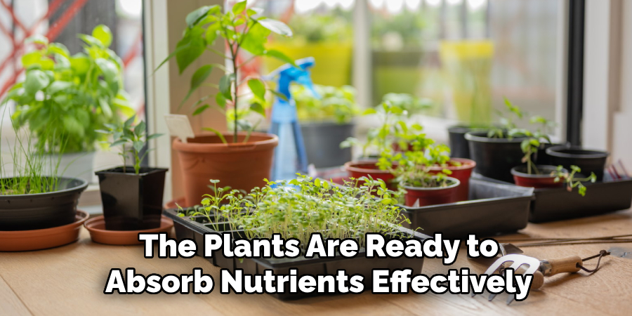 The Plants Are Ready to
Absorb Nutrients Effectively
