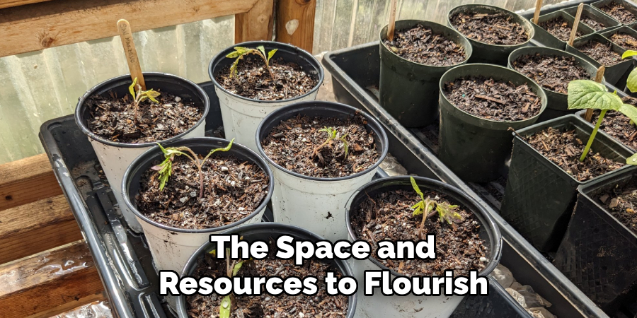 The Space and
Resources to Flourish