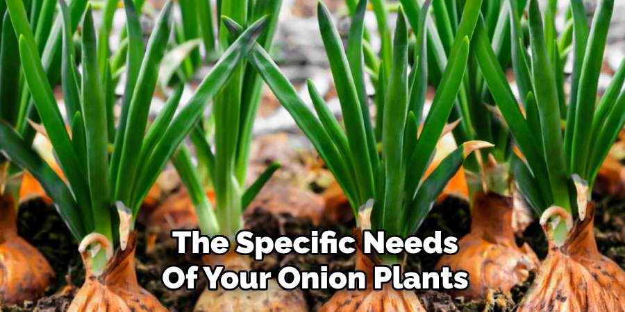 The Specific Needs
Of Your Onion Plants