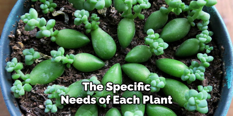 The Specific
Needs of Each Plant