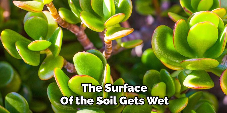 The Surface
Of the Soil Gets Wet