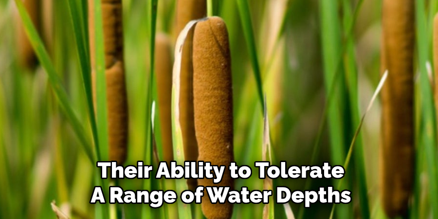 Their Ability to Tolerate
A Range of Water Depths
