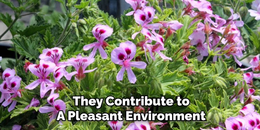 They Contribute to
A Pleasant Environment
