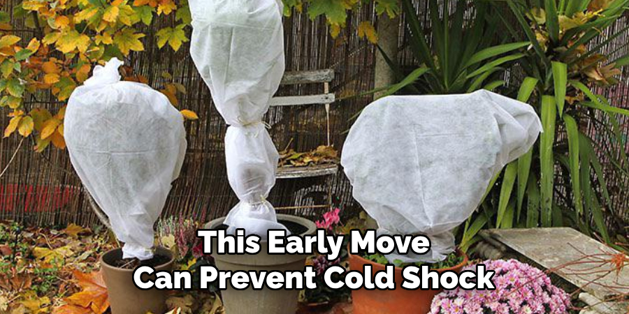 This Early Move
Can Prevent Cold Shock