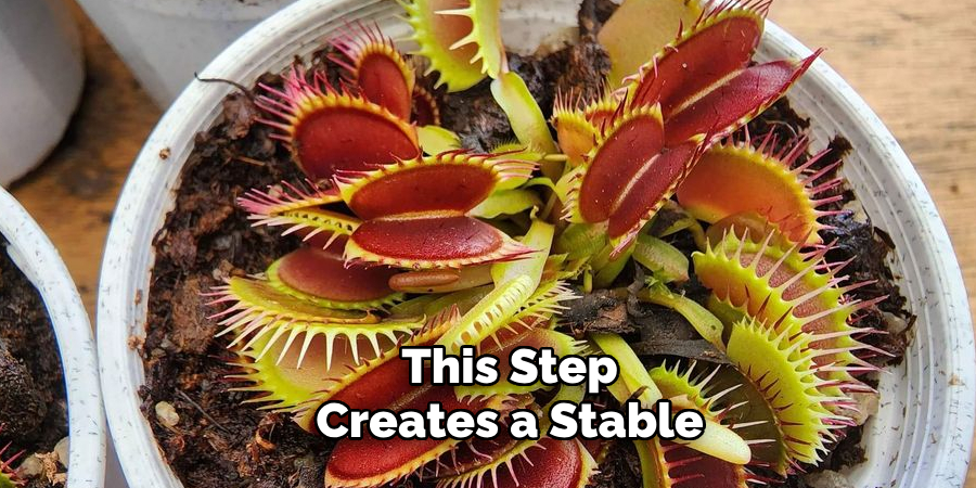 This Step
Creates a Stable