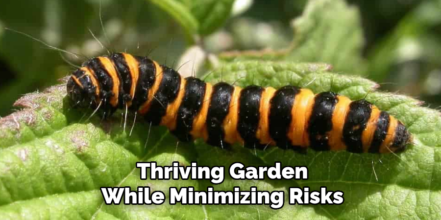 Thriving Garden
While Minimizing Risks