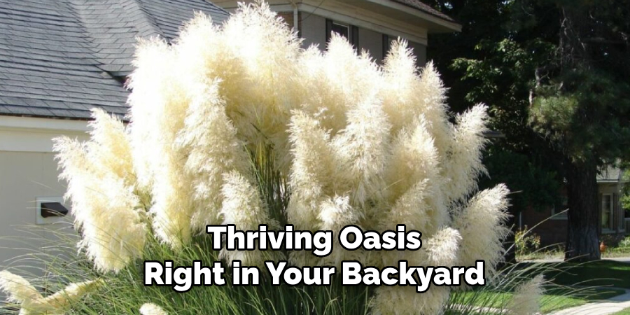 Thriving Oasis
Right in Your Backyard