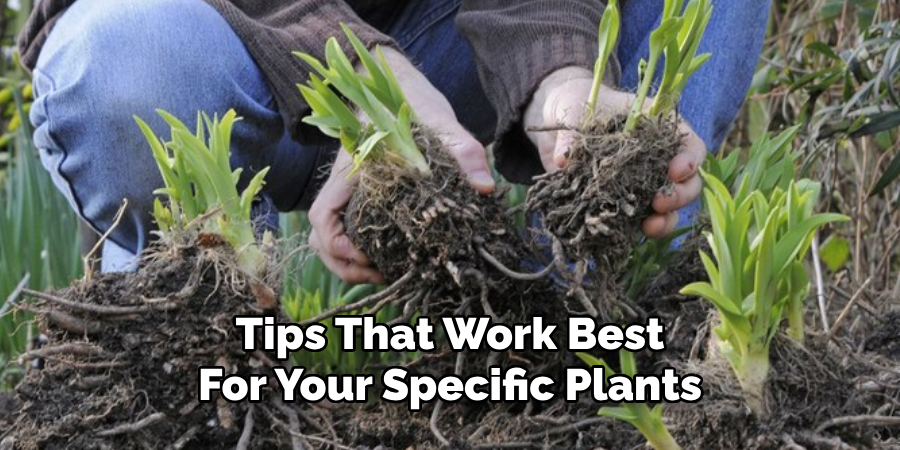 Tips That Work Best
For Your Specific Plants