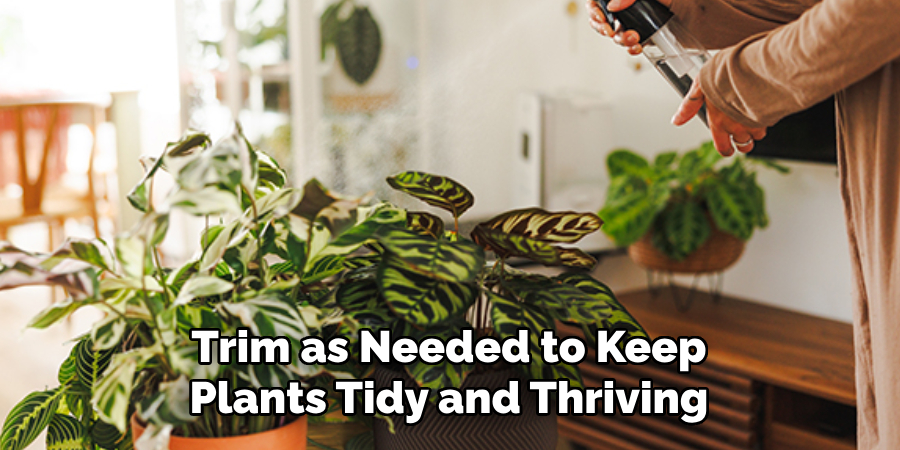 Trim as Needed to Keep
Plants Tidy and Thriving
