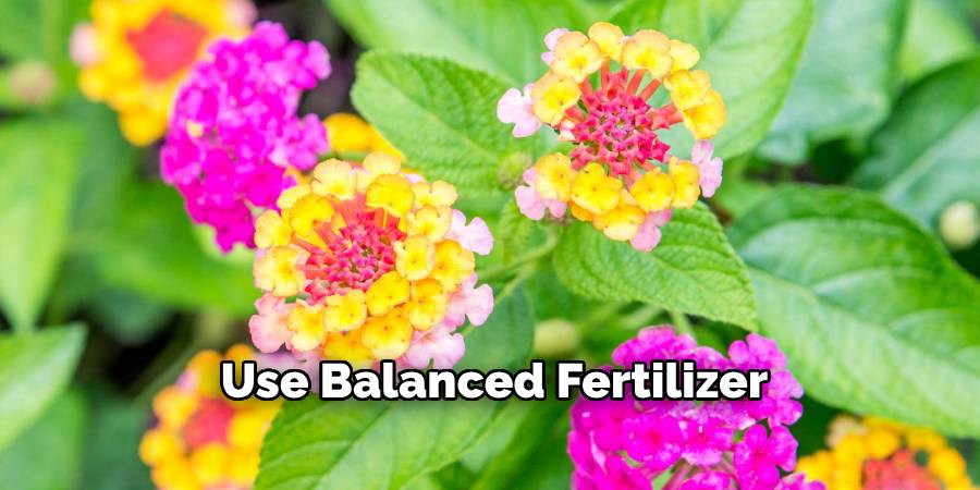 Use Balanced Fertilizer