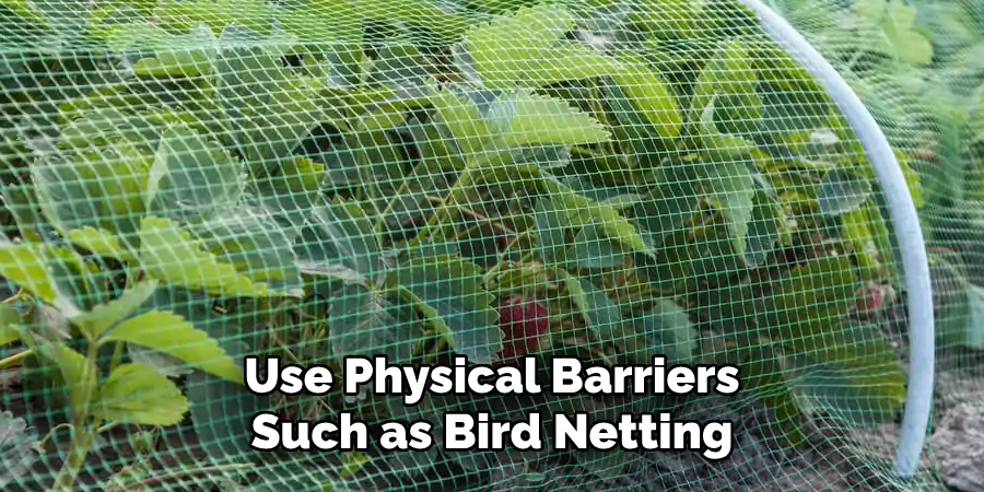 Use Physical Barriers Such as Bird Netting