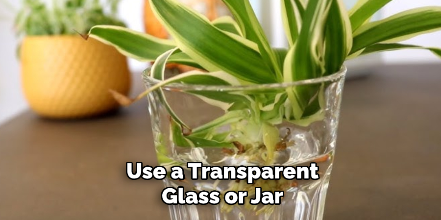 Use a Transparent Glass or Jar