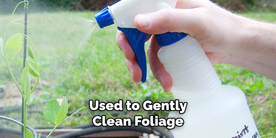 Used to Gently Clean Foliage