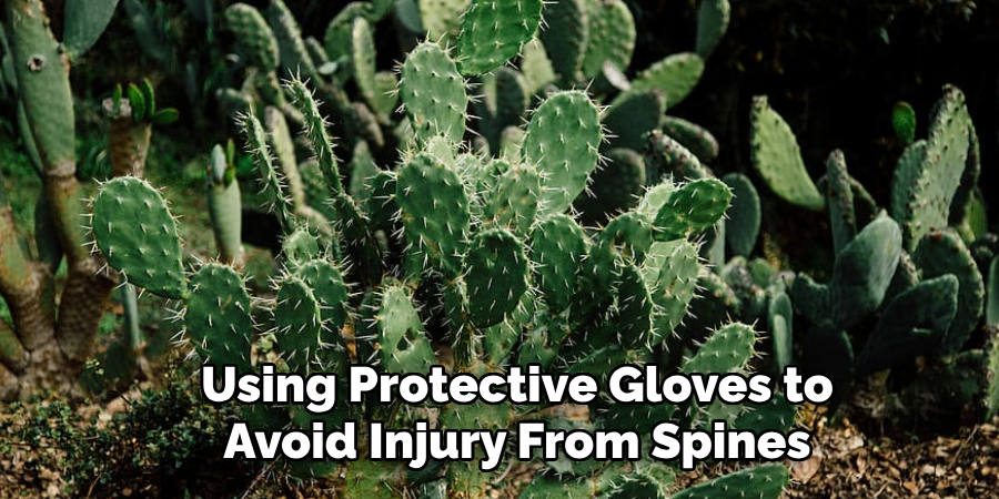 Using Protective Gloves to
Avoid Injury From Spines