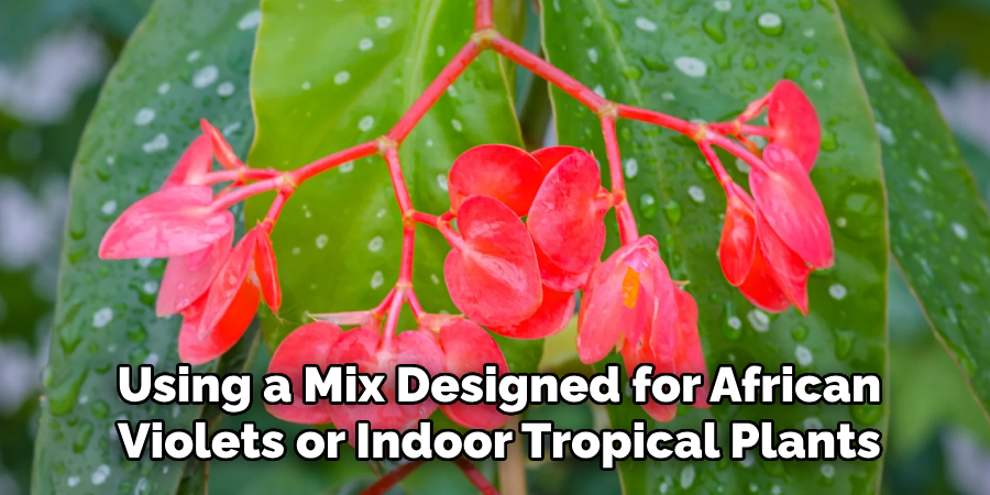 Using a Mix Designed for African
Violets or Indoor Tropical Plants