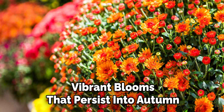 Vibrant Blooms
That Persist Into Autumn