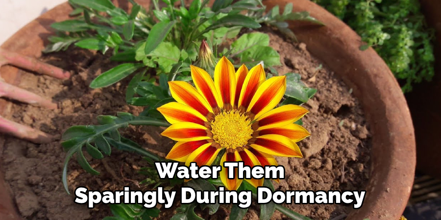 Water Them
Sparingly During Dormancy