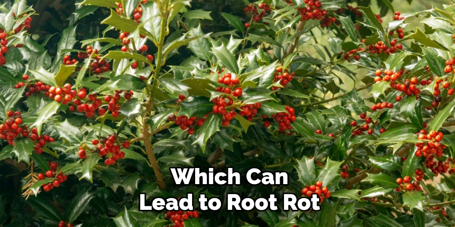 Which Can
Lead to Root Rot